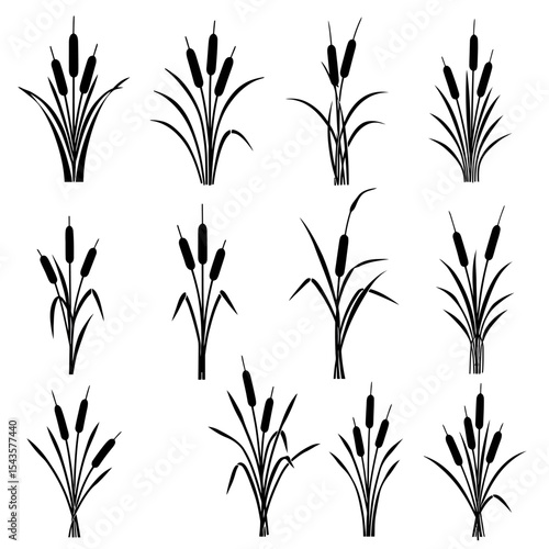 Cattails Aquatic Plant Silhouettes Graphic Illustration Variety of Reedmace Plants Water Plants for Landscape Design Projects