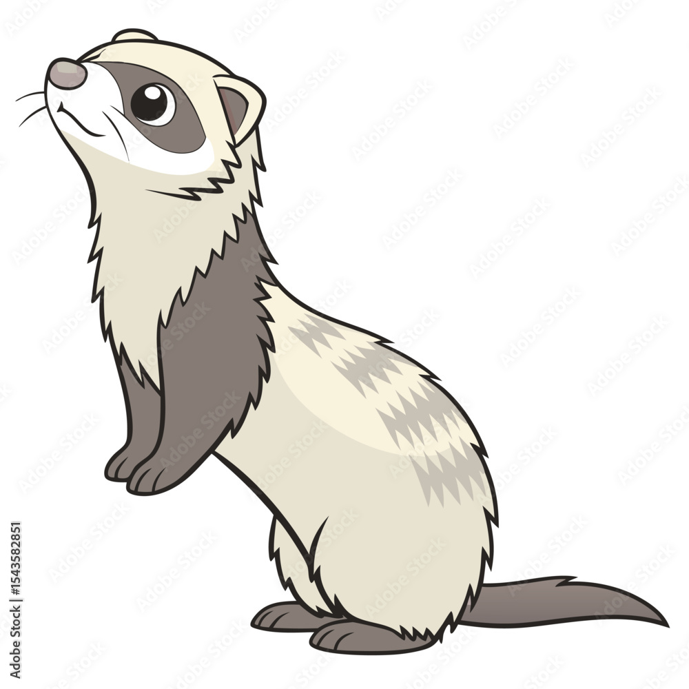 Fototapeta premium Cartoon ferret standing and looking up adorable animal vector illustration
