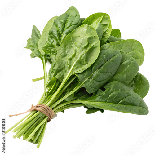 bunch of fresh spinach isolated without background