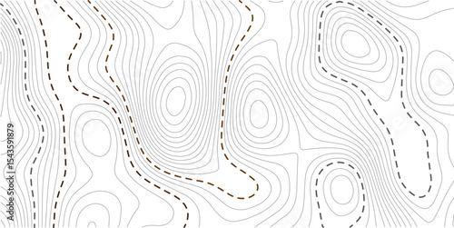 White wave paper curved reliefs abstract background, Abstract topographic contours map background. Vector geographic contour map Topography map background.