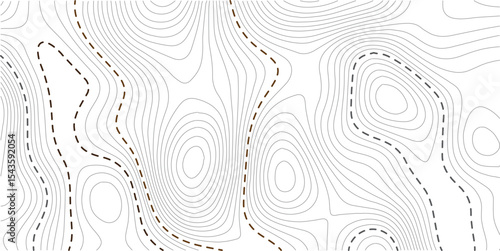 White wave paper curved reliefs abstract background, Abstract topographic contours map background. Vector geographic contour map Topography map background.