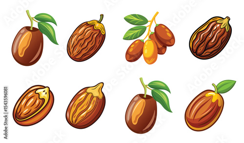 Various types of date fruits on a white background.