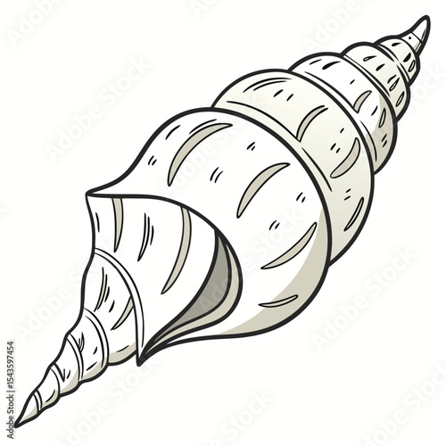 Elegant cartoon conch shell vector illustration graphic design element
