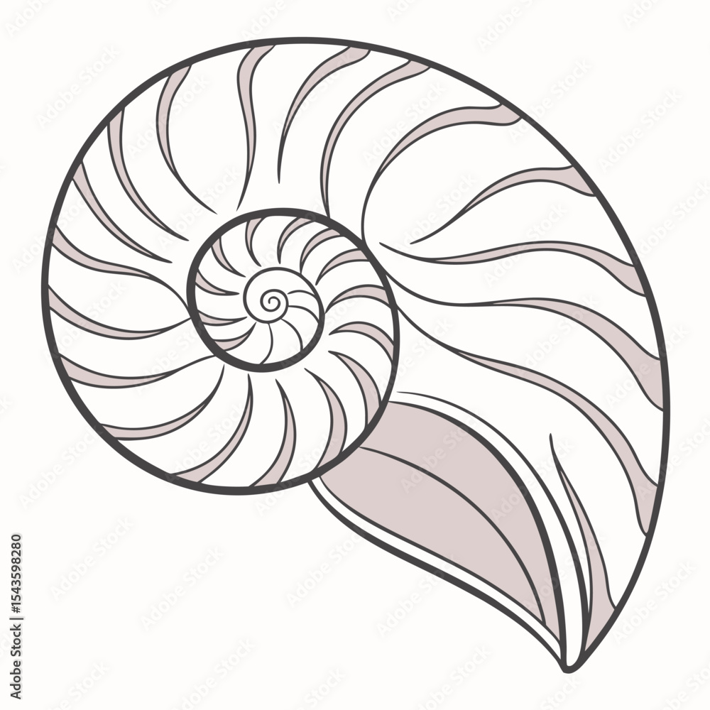 Elegant nautilus shell vector illustration with intricate spiral design Elegant nautilus shell vector illustration with intricate spiral design