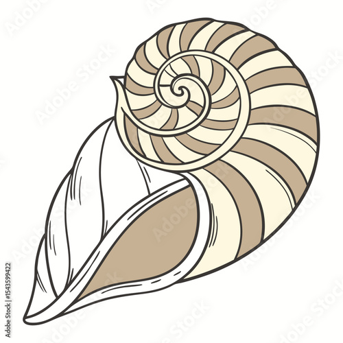 Elegant seashell vector graphic with spiral pattern in neutral tones illustration