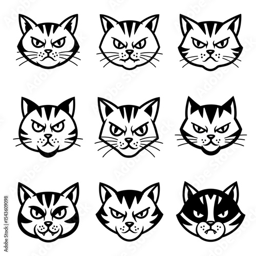 The Many Faces of Feline Frustration A Collection of Grumpy Cat Expressions and Their Underlying Causes Displayed Perfectly