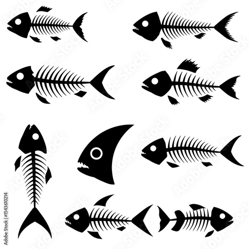 Diverse Fish Skeletons Collection A Compilation of Various Aquatic Animals Deconstructed Down to Their Basic Bony Remains