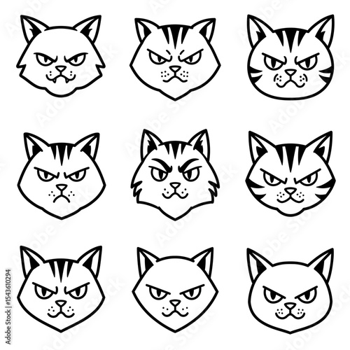 Grumpy Cat Faces A Collection of Angry Feline Expressions Depicting Displeasure and Irritation from a Variety of Different Angles