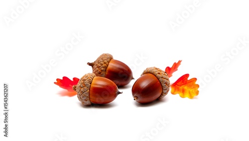 Three acorns with brown caps and shells surrounded by small red and orange leaves on white background