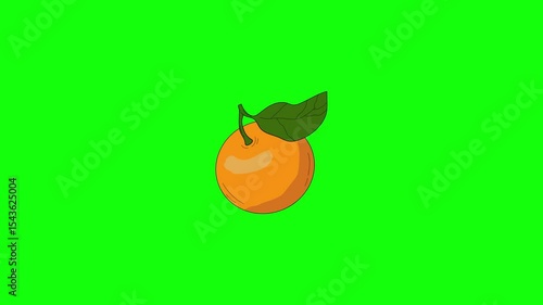 orange fruit animation . cartoon orange icon animation. transparent background. 