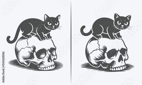 Black Cat Sitting on Skull – Playful and Eerie Skull Art with Cat Illustration
