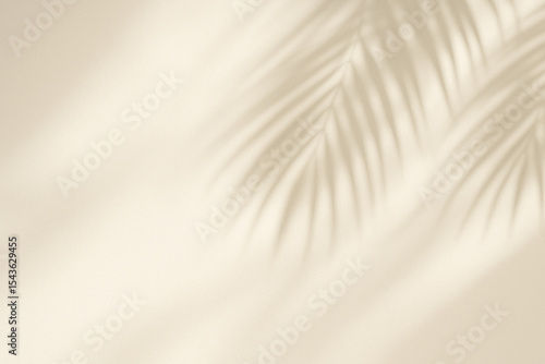 Minimalist Beige Background with Palm Leaf Shadows Overlay Soft Light Texture image