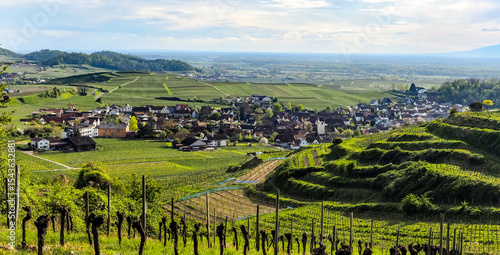 Bischoffingen vom Hungertal aus