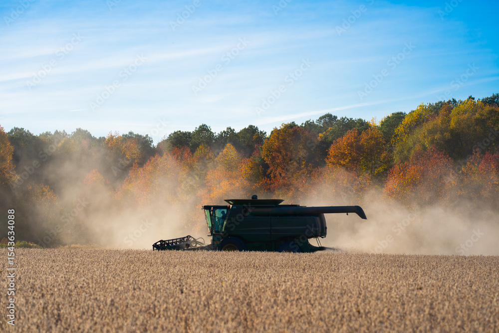 Fototapeta premium Combine harvester in a wheat field. Harvesting on rural farm. Combine harvester machinery. Agricultural Combine harvester at work. Rural landscape with a combine harvester. Ploughing and cultivation.