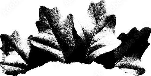 Oak leaf pediment fragment with fissured texture for architectural restoration design