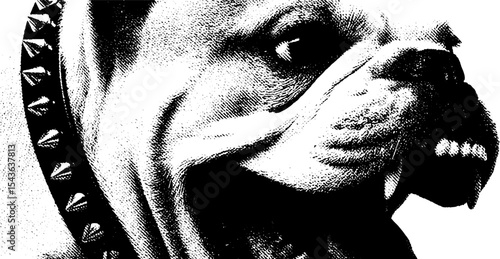 Growling bulldog with studded leash in high contrast black design