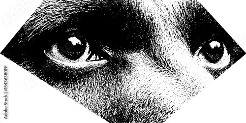 Abstract portrait with diamond eyepatch and gummy bear in high contrast design