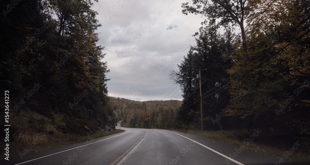 Fototapeta premium view of a curved road in a mountainous area with a wet surface and a forest on both side on an overcast day of fall