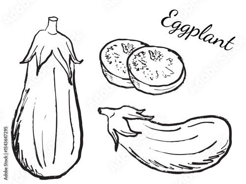 Whole and sliced eggplant vegetable design in black brush stroke texture isolated on white. Hand drawn vector sketch illustration in vintage charcoal ink. Fresh ingredient, cooking, logo design
