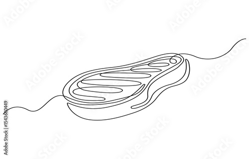 Set of continuous one line BBQ grill elements. Vintage BBQ grill elements isolated on a white background. Vector illustration, Bbq grill simple outline vector design. meat veal, pork, beef, veal steak
