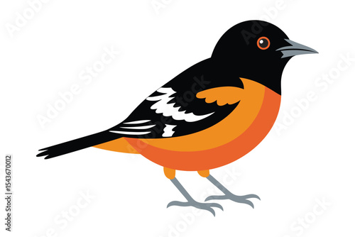 Beautiful oriole bird vector illustration perched on branch with vivid colors