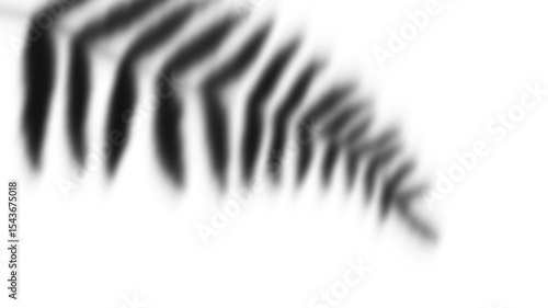 Shadow and Overlay Effect on Line Art Portrait