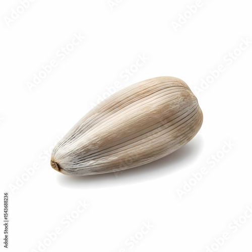 Wallpaper Mural Sunflower seed closeup Torontodigital.ca