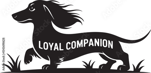 Long Haired Dachshund Silhouette Vector Illustration Artwork