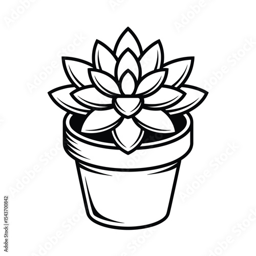 Succulent plant in pot line art illustration