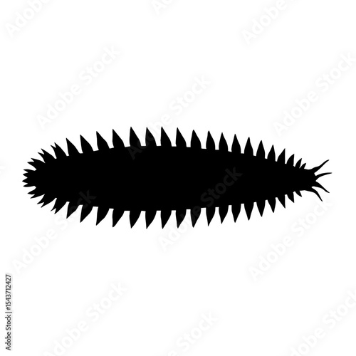 Silhouette of an Antarctic Scale Worm with its Spiny Appendages