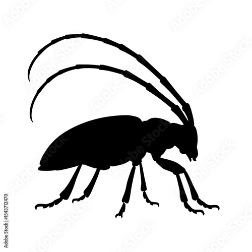 Silhouette of Asian Longhorn Beetle with Curved Antennae