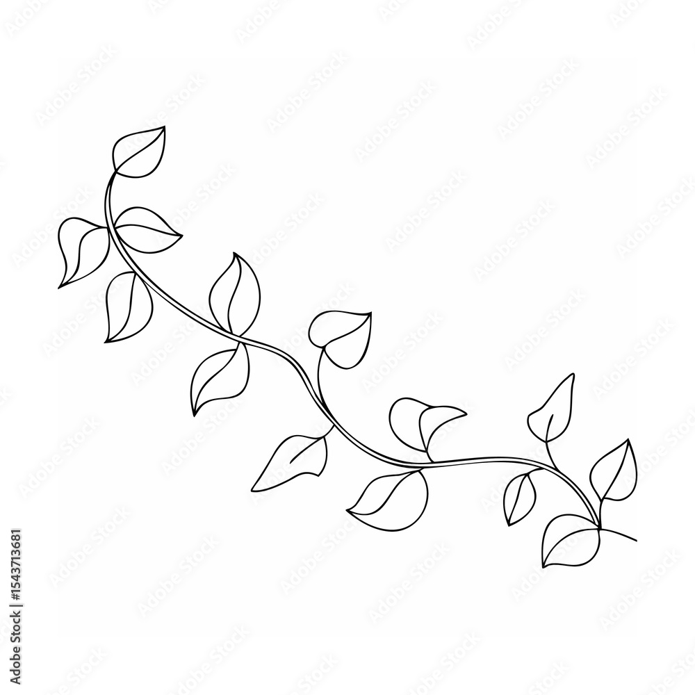 Fototapeta premium Black Line Art Vine with Simple Leaves on White Background