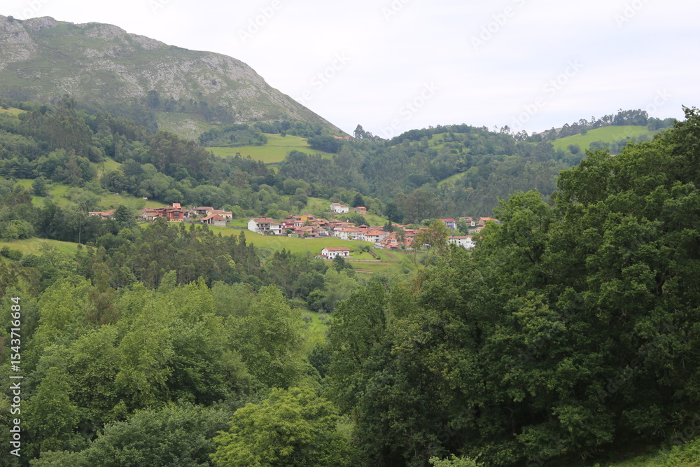 Obraz premium Paisaje verde