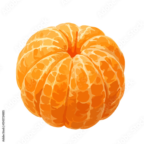 Peeled Mandarin Orange Top View