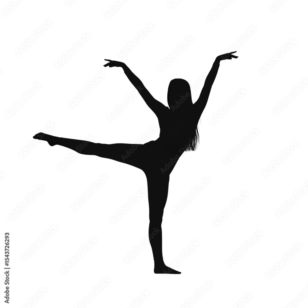 Obraz premium Dynamic Female Dancer Silhouette