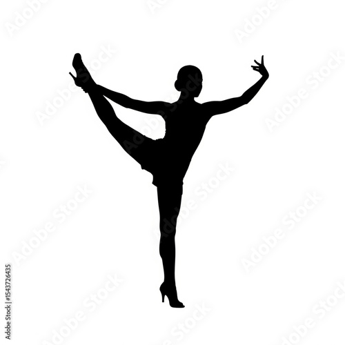 Elegant Female Dancer Silhouette

