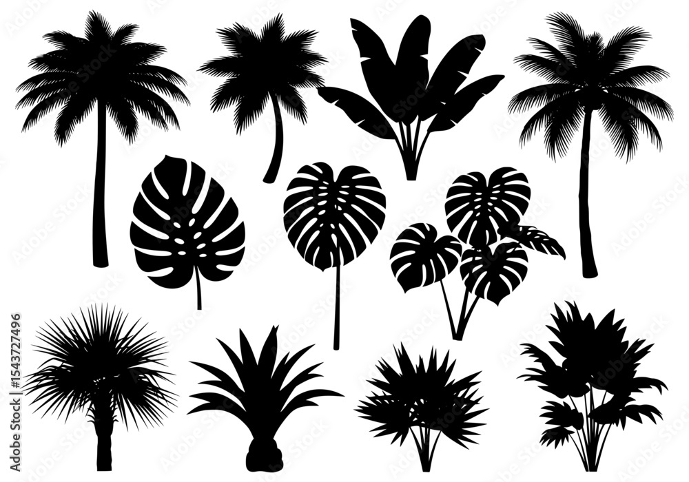Vector collection of tropical plant silhouettes isolated on white background Vector collection of tropical plant silhouettes isolated on white background