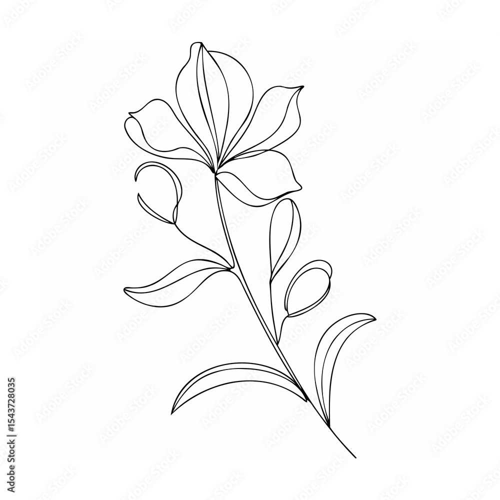Obraz premium Black Line Art Single Lily Flower Botanical Drawing