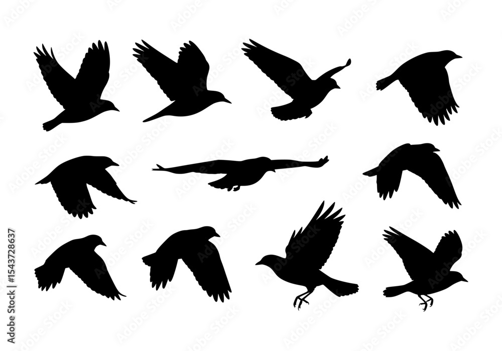 Obraz premium Vector silhouettes of various birds in flight isolated on white background