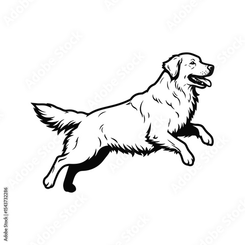 Jumping Golden Retriever Dog Vector Illustration Black and White Line Art