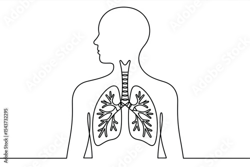 Human respiratory system single line drawing