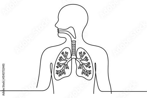Human respiratory system single line drawing