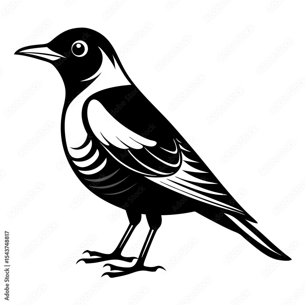 Naklejka premium bird vector illustration