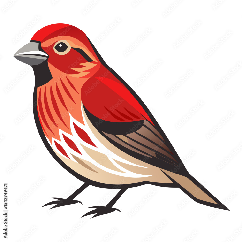 Obraz premium bird vector illustration