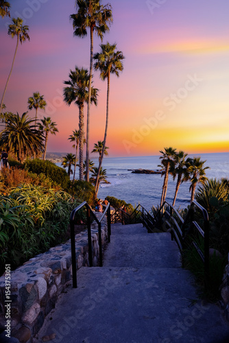 palm trees at Heisler Park, in Laguna Beach, Orange County, California