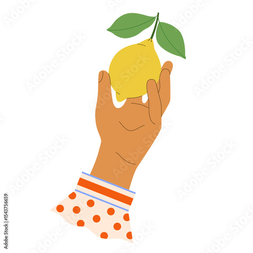 Woman's hand in polka dot shirt cuff holds ripe lemon plucked from tree. Cute vector illustration of citrus jam label design, gardening, farm shop, harvesting on white background.