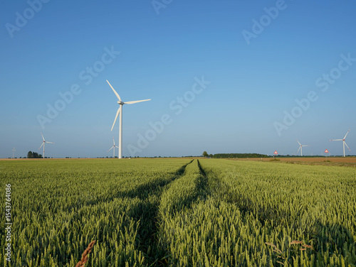 Wind turbines stand tall above a field of green grain under a clear sky