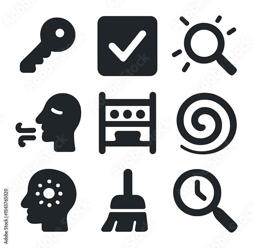 Organized Solutions Icons. Solid, filled icons set of quick find solutions: key icon, checklist mark, search