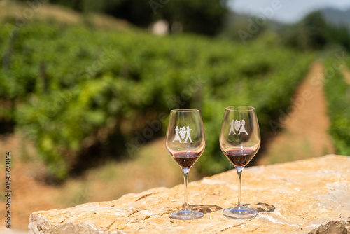 Two glasses of red wine on a stone ledge in a vineyard, representing a serene and luxurious outdoor setting