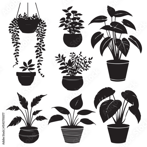 Collection of black silhouette houseplants in pots